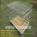 ISO14001galvanized or pvc coated welded Pet Cages for dog (factory)
